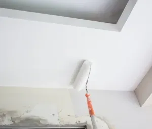 Bathroom Ceiling Painting