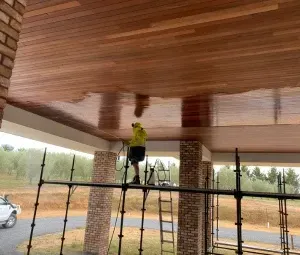 Professional Service