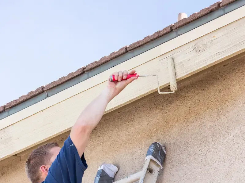 Why Canberra Homeowners Choose Sattler Painting