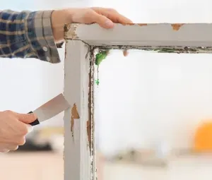 Priming and Undercoating