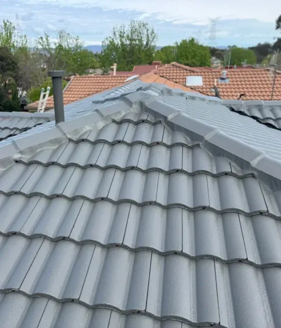 Why Canberra Homes Need Professional Roof Painting