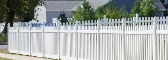 What We Remove from Fences