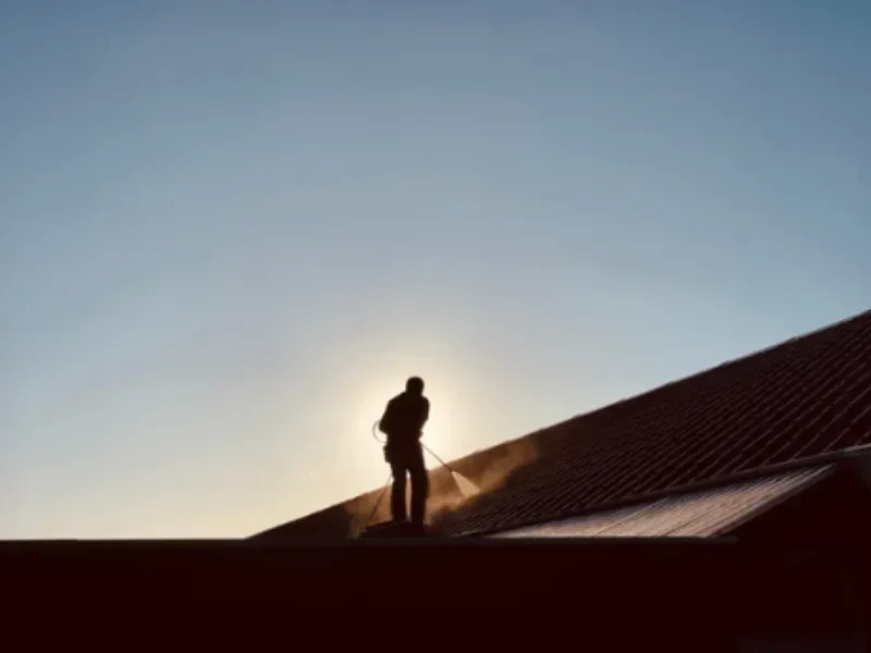 Roof Painting
