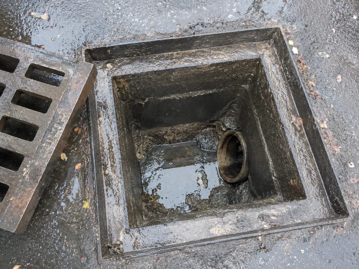 Drain reapars
