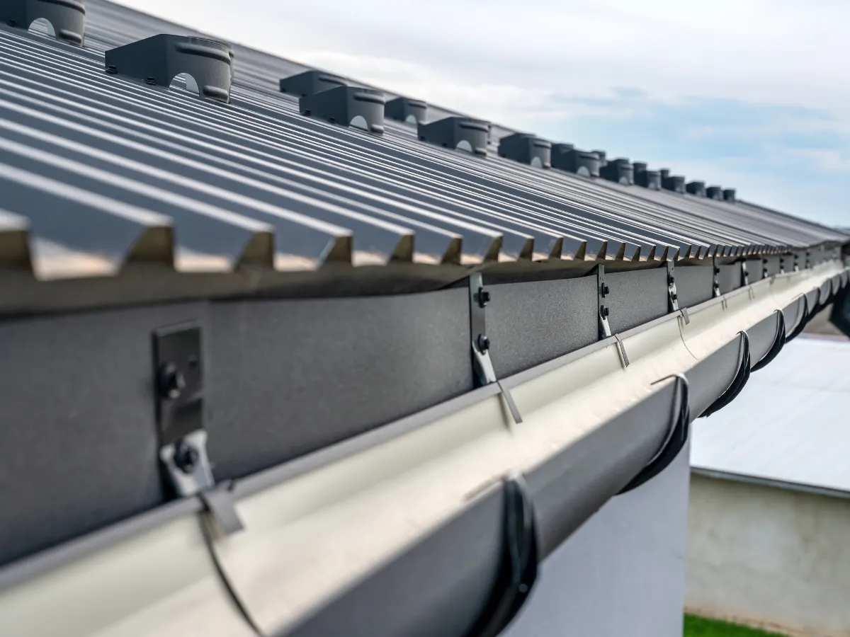 Gutter Cleaning