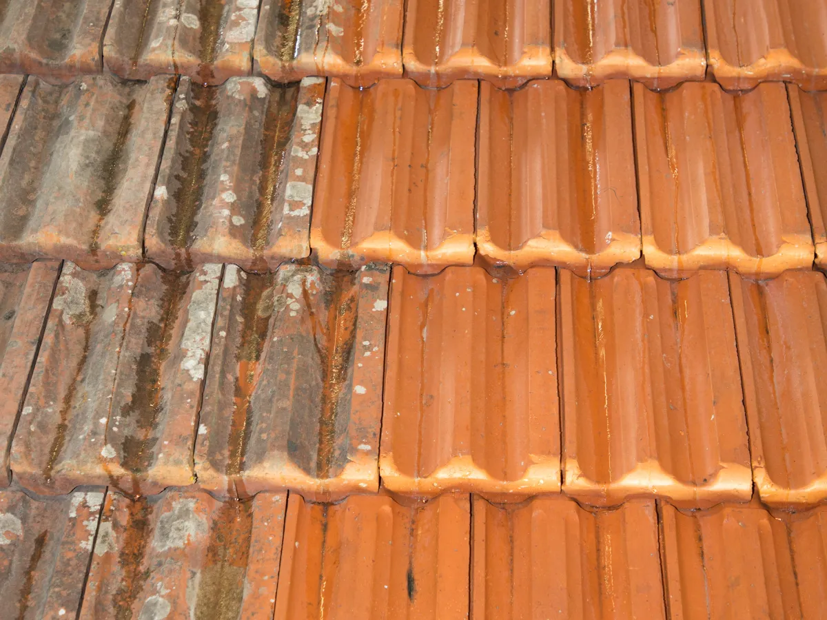 Roof Cleaning