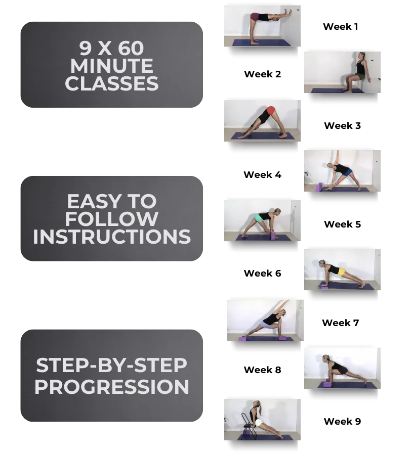 Easy simple easy to follow video tutorials