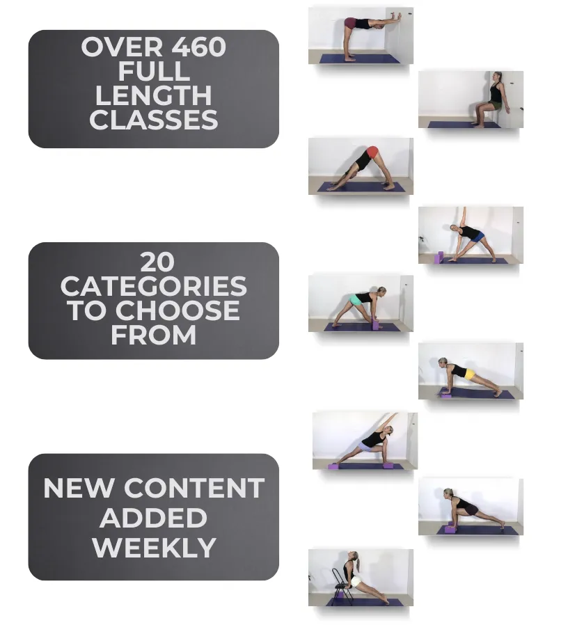 Easy simple easy to follow video tutorials