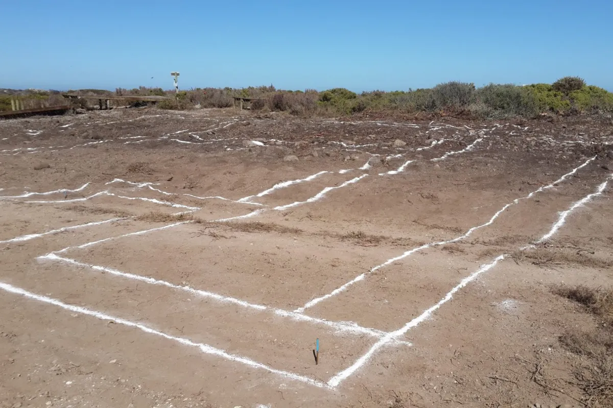 Storage Units & Outbuildings in Langebaan