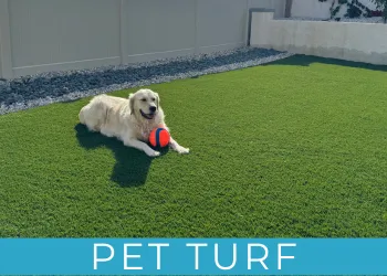 Pet Turf Artificial Grass for Dogs