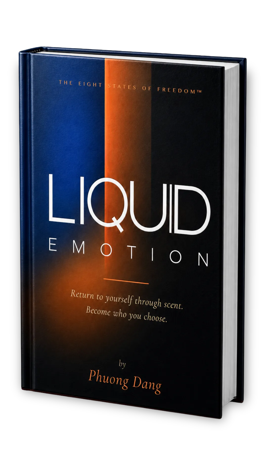 Liquid Emotion book mockup on a stone surface