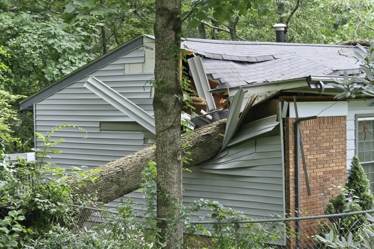 Roof Replacement in Mobile