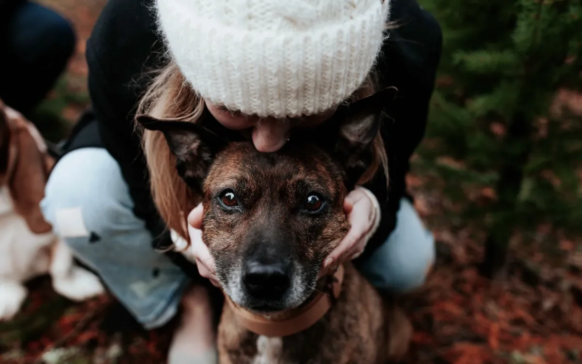 Hero device mockup showing Rapid Product Launch Kit dashboard on a tablet