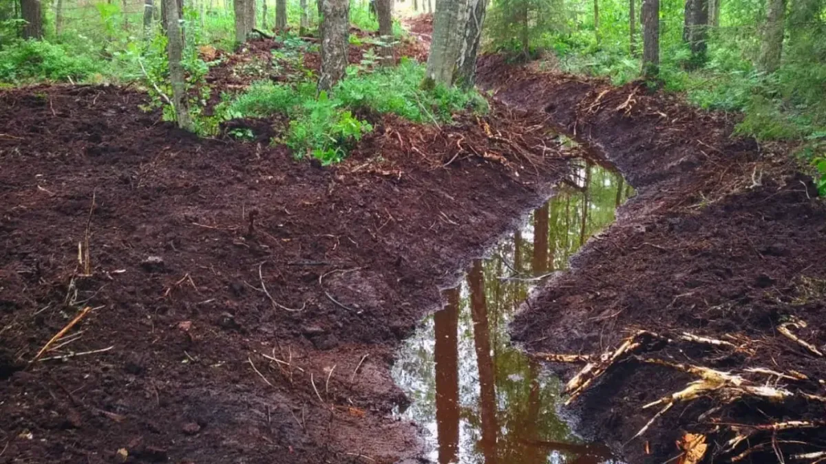 Kivikaru maastiku kujundus