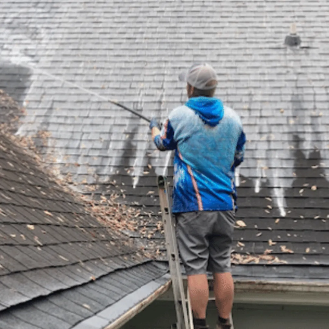 Roof Washing Little Rock Arkansas