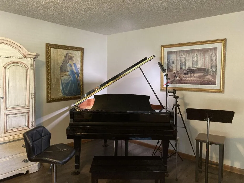 studio baby grand image