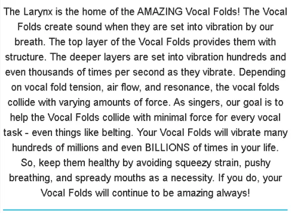 Vocal Folds & the Larynx