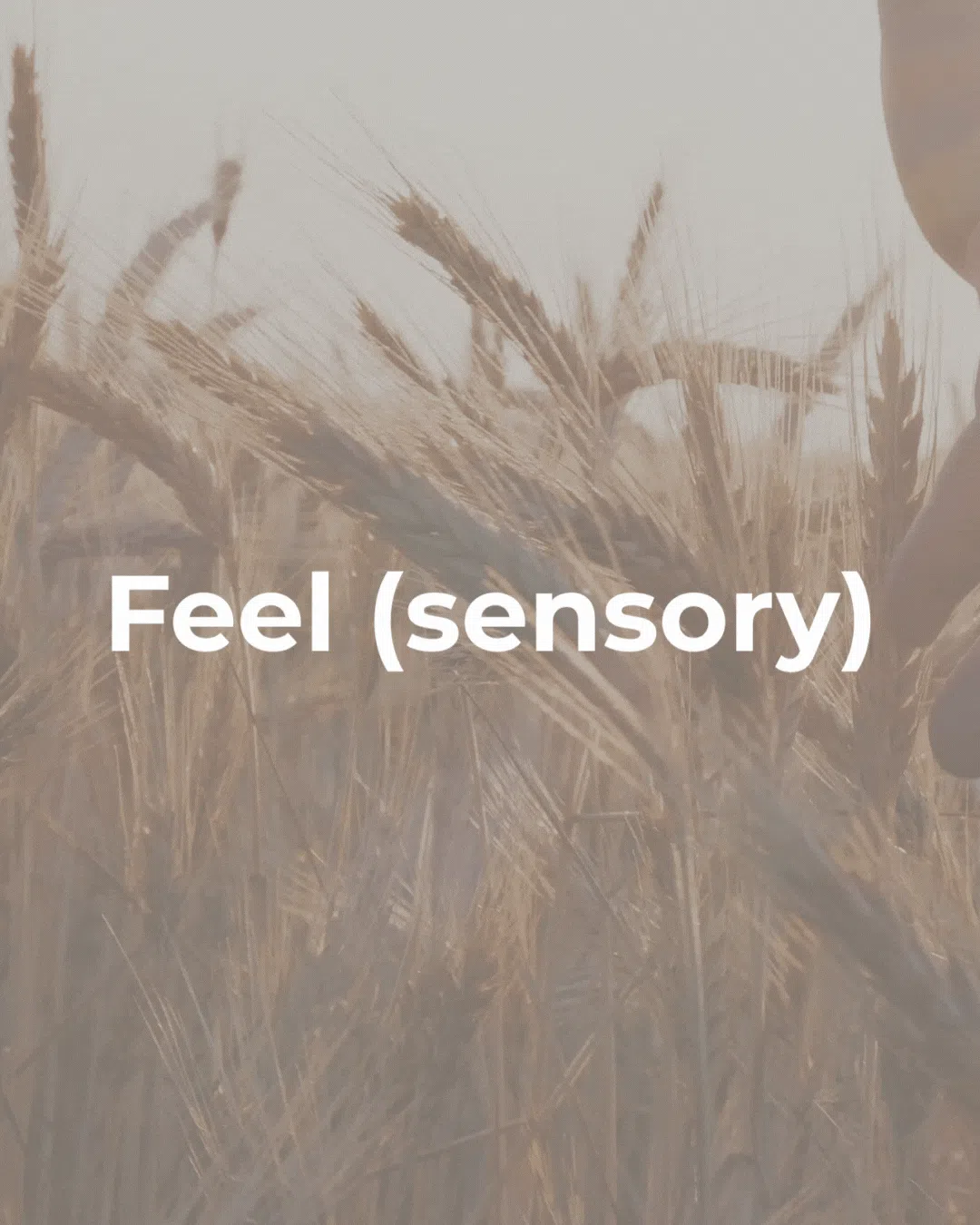 Sensory nerve impairment chart