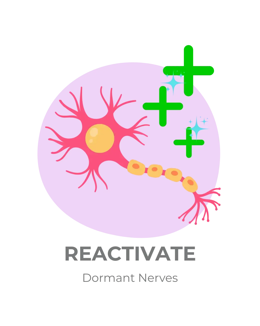 reactivating dormant nerves to restore function