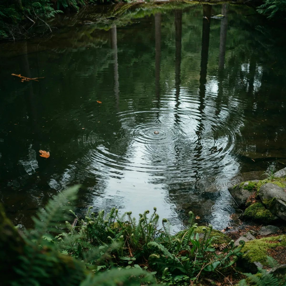Same Patterns, Same Results: The One Thing You Must Change First