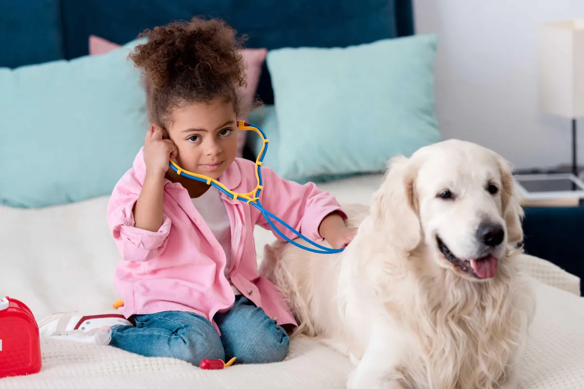 First aid on a dog - dog boarding-bozeman