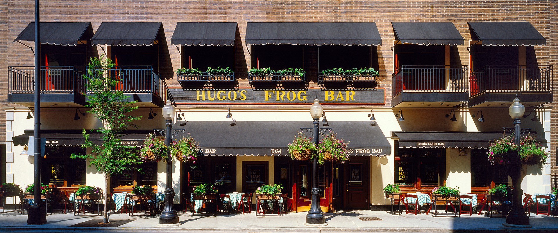 Hugo's Frog Bar