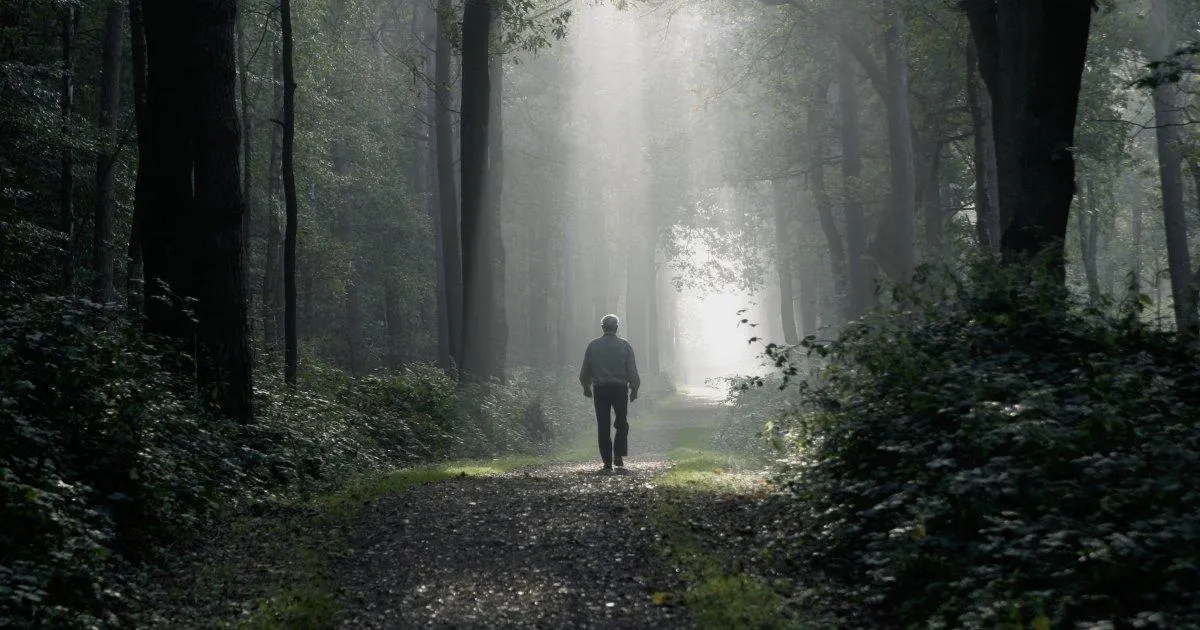 Man walking along a quiet wooded path, reflecting a journey of inner exploration
