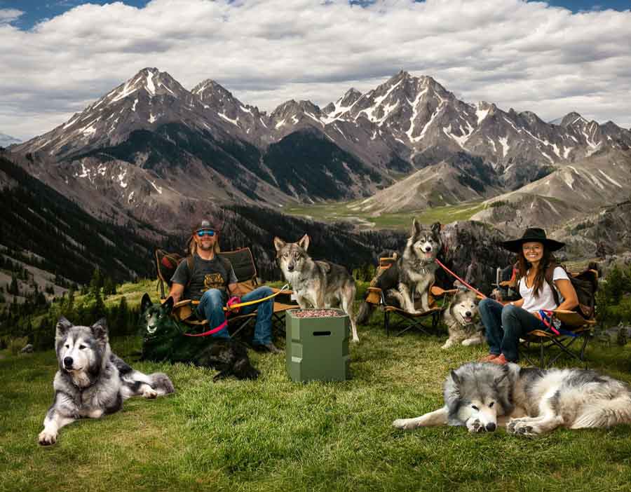 Stephen and Erica with their wolfdogs, in three circular photographs