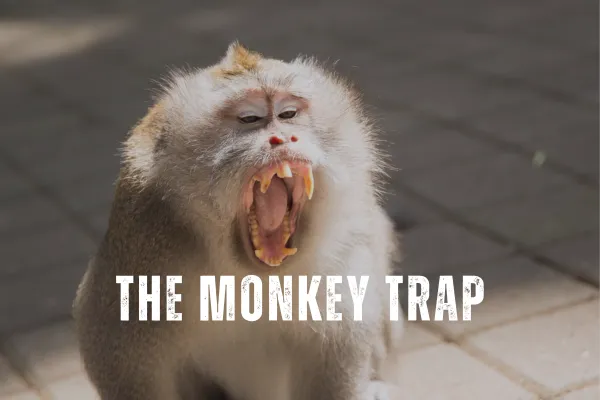 The Monkey Trap