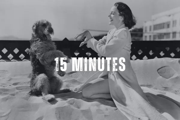 fifteen minutes of modeling