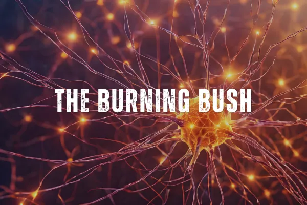 The Burning Bush