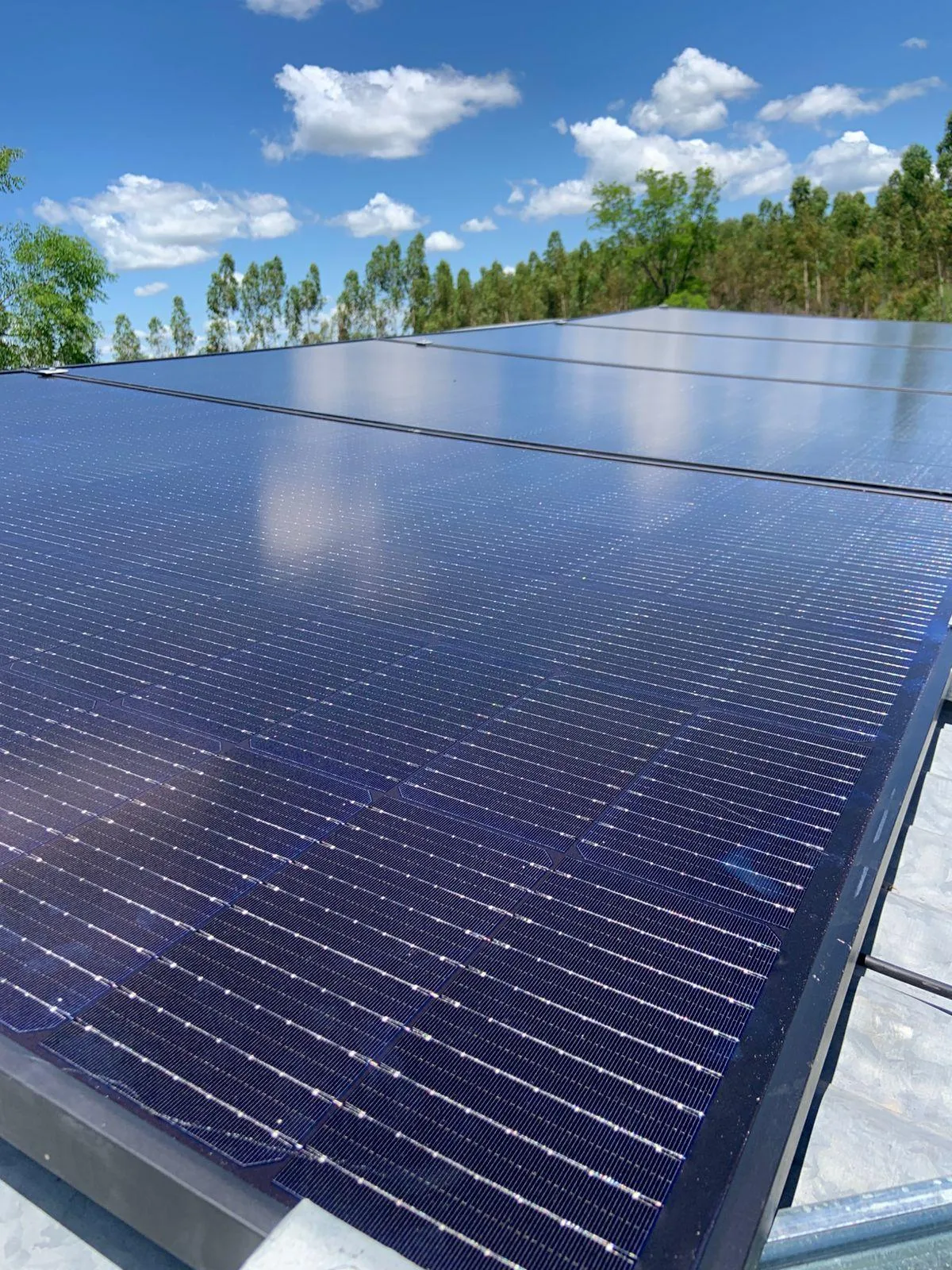 Instalación solar en vivienda de Posadas, Misiones, adultos mayores conversando en la galería, cielo despejado