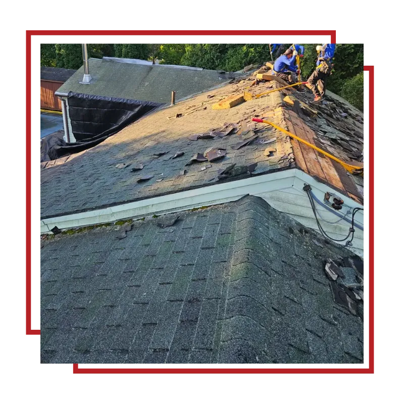 Roof Replacement