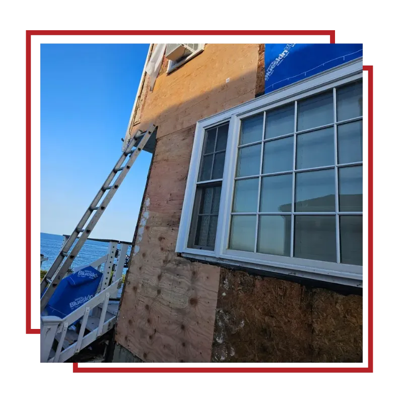 Window & Door Services