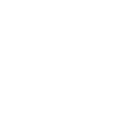 Vision