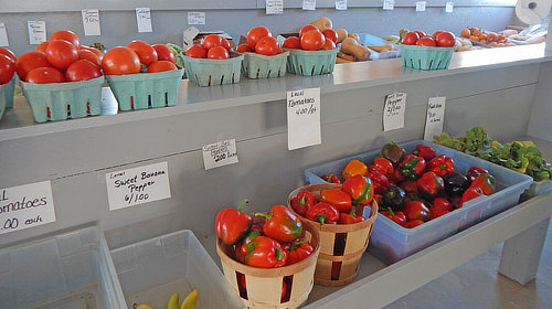 Fall Creek Mennonite Community