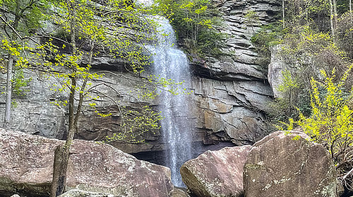 Laurel-Snow SNA “Pocket Wilderness” / Laurel and Snow Falls