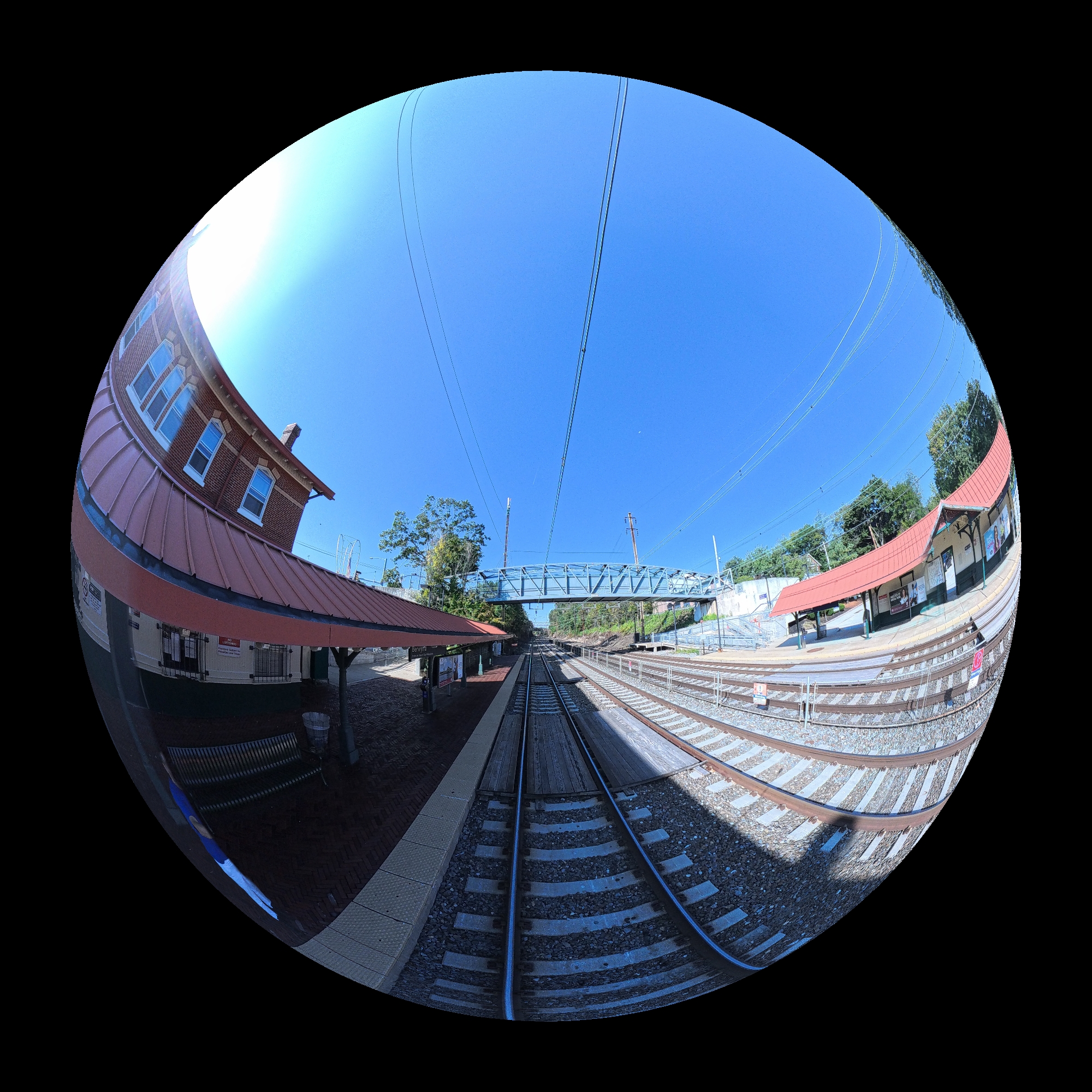 Woman zip-lining over a lush forest