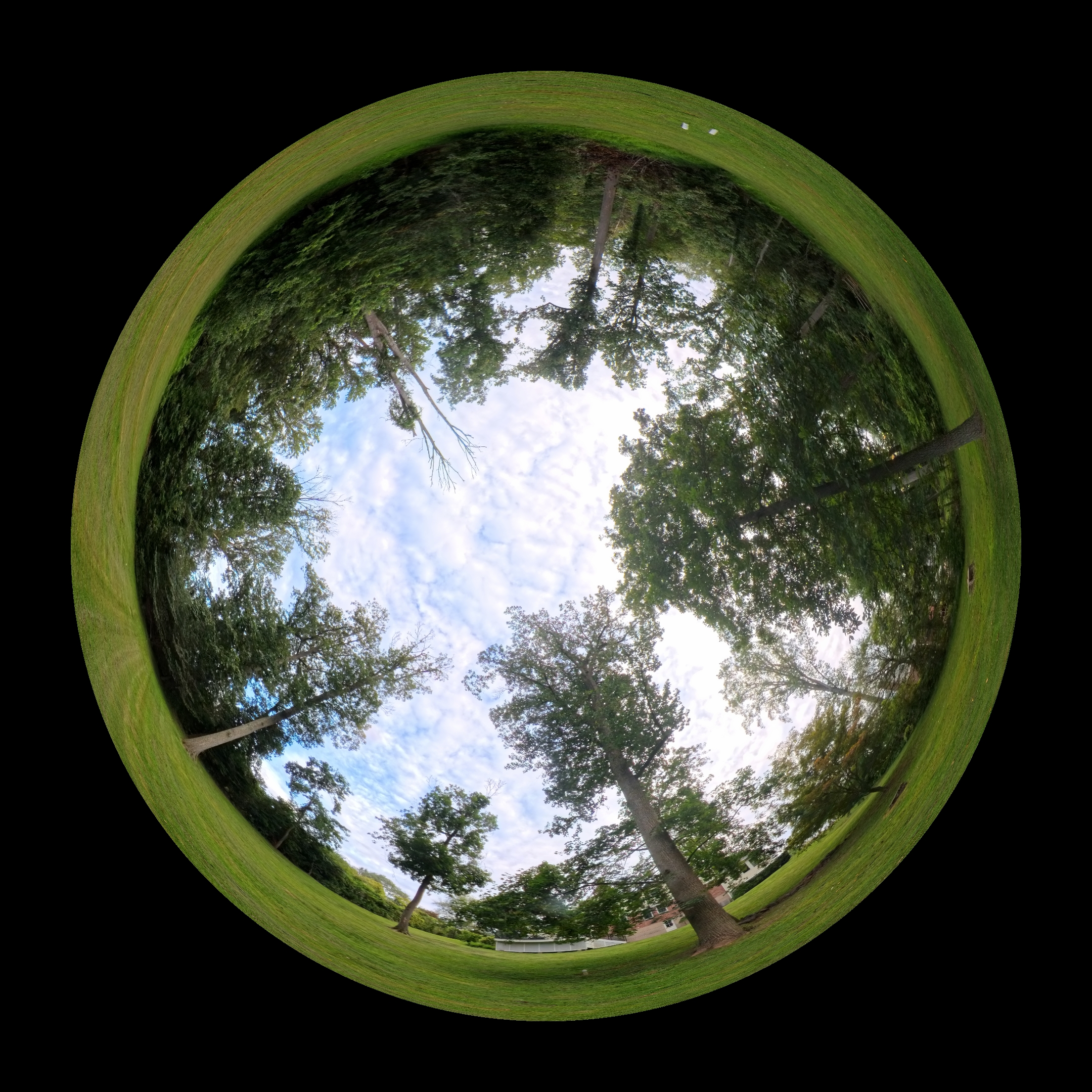 Group of people laughing at an outdoor bar at night