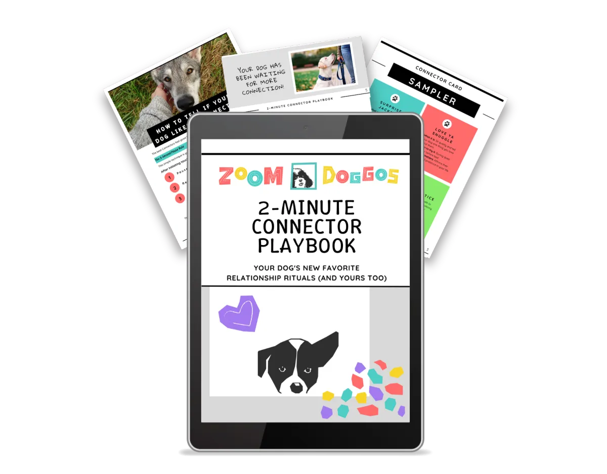 Mockup of the 2 Minute Connector Playbook