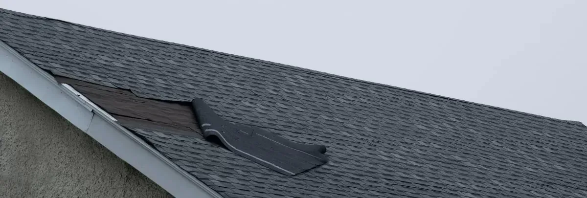shingle blown off the roof