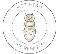 Lice Removal