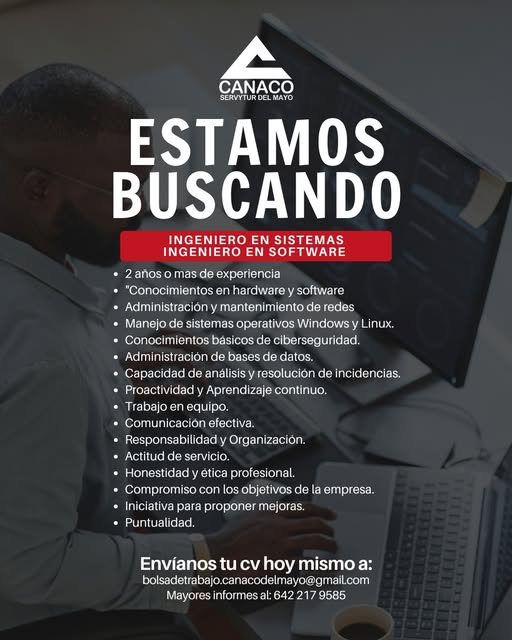 Ingeniero en Sistemas/Software