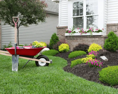 Landscaping in Grand Junction