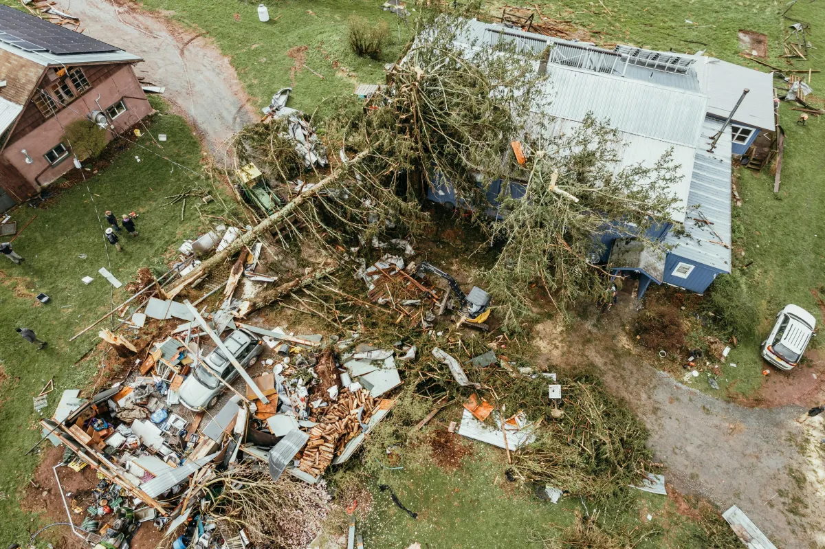 Damage Assessment Professionals