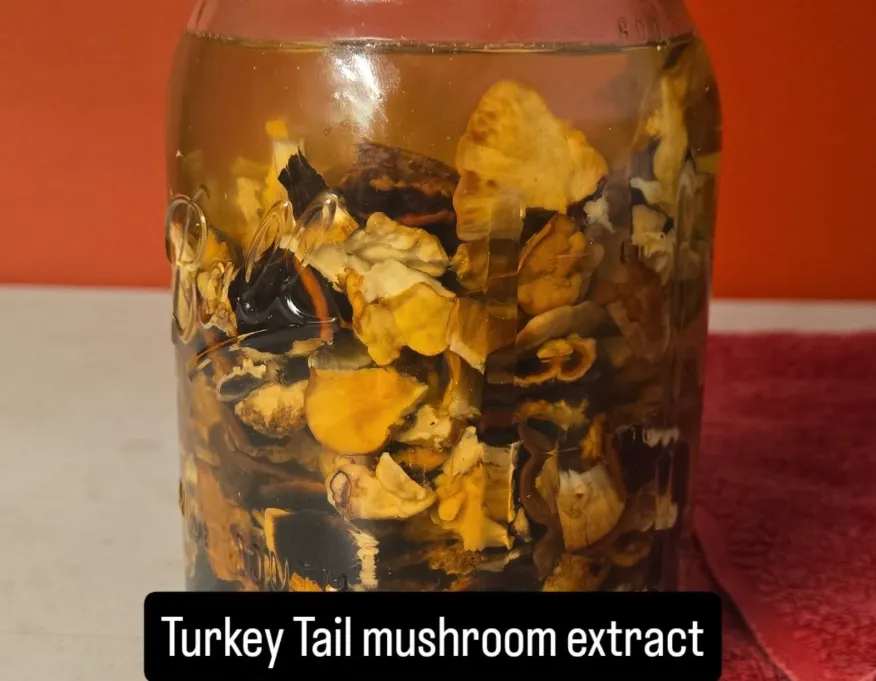 grayscale photo of man in black jacket walking on grass field