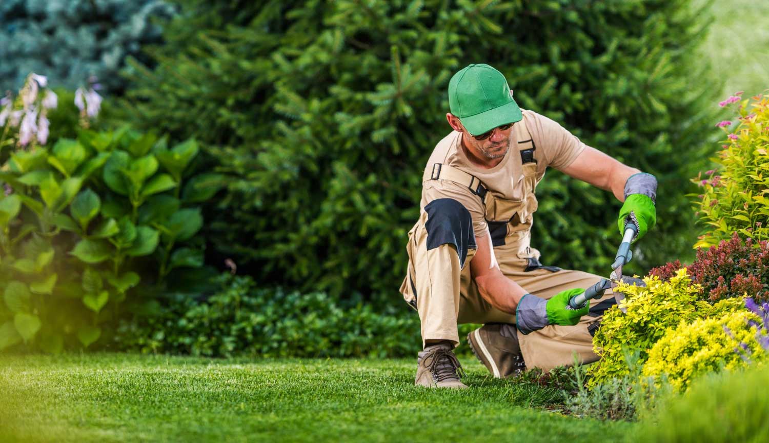 AI Revolutionizes Landscape Design Marketing 2026