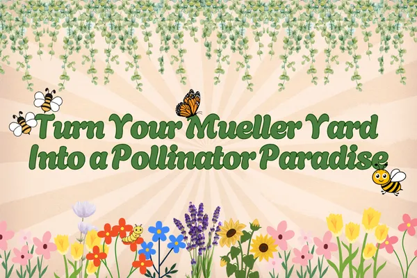 Pollinators Paradise Blog Image