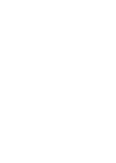 LEOCORE media