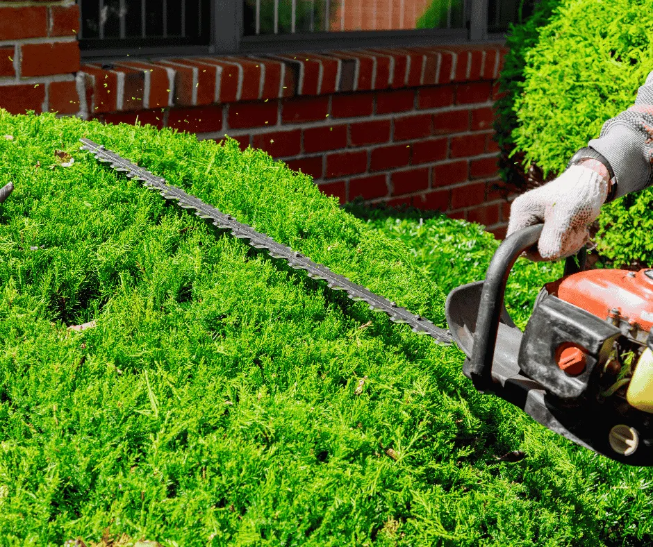 Team trimming bushes to enhance the aesthetic of a residential landscape as a part of Professional Bush Trimming services by Jhdlawncare LLC in Elyria.